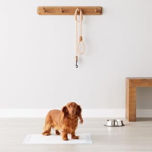 Amazon Basics Dog and Puppy Pee Pads 100 Count, Blue & White